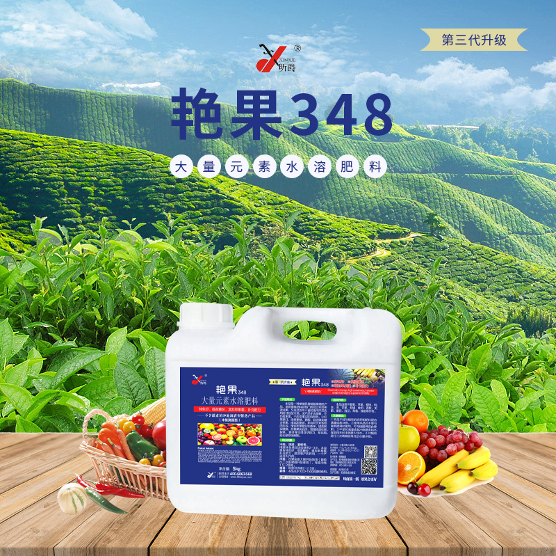 艳果348