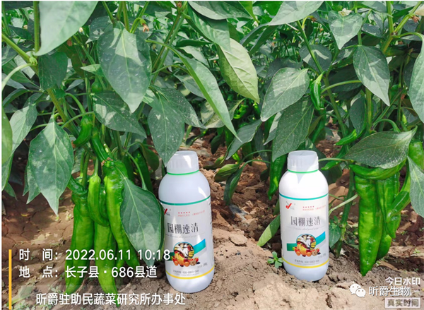 园棚速清清园剂 园棚速清清园剂