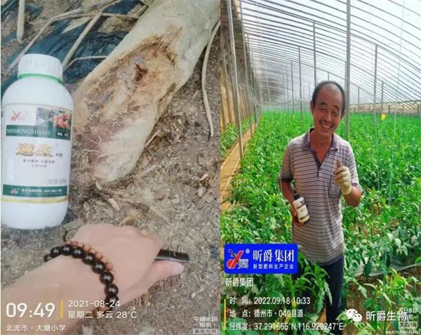 逆生4号 逆生4号