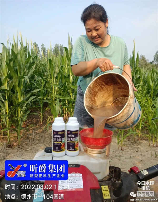 淝力精二次稀释 淝力精二次稀释