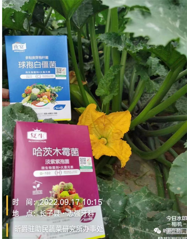 夜宴杀菌剂 夜宴杀菌剂