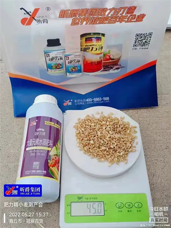 昕爵淝力精 昕爵淝力精