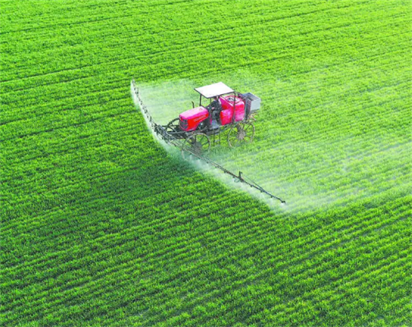 小麦追肥用昕爵淝力精 小麦追肥用昕爵淝力精