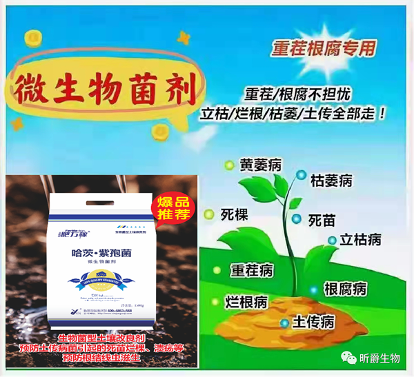 昕爵微生物菌剂 昕爵微生物菌剂