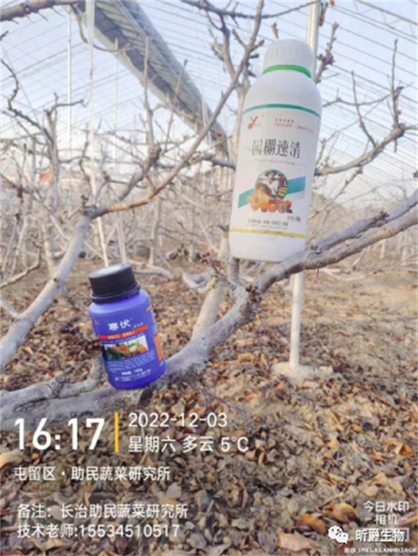 寒伏在果树上的使用 寒伏在果树上的使用