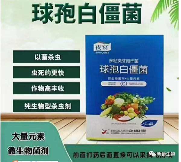 昕爵夜宴 昕爵夜宴