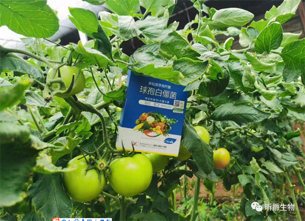 昕爵夜宴 昕爵夜宴