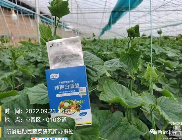 昕爵夜宴 昕爵夜宴