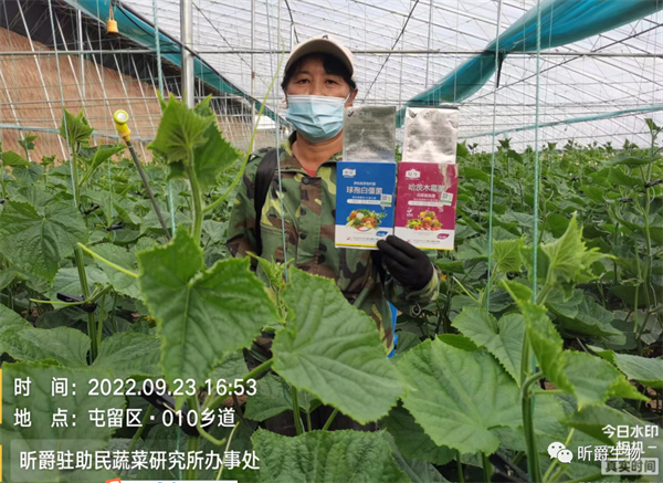 夜宴杀蓟马 夜宴杀蓟马