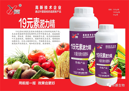 替代尿素的叶面追肥新产品淝力精