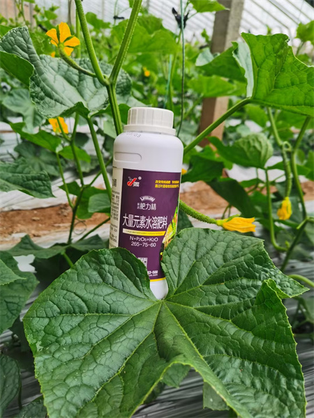 长效缓释液态复合肥淝力精 长效缓释液态复合肥淝力精