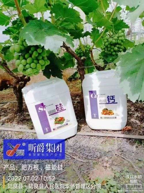 昕爵有机磁能“酸性硅肥”，复配性强！利用率高！