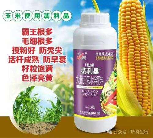 庄稼追肥新选择，昕爵翡利晶替代尿素和复合肥