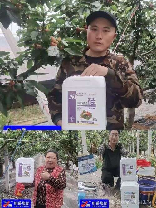 更容易复配的硅肥，昕爵酸性硅