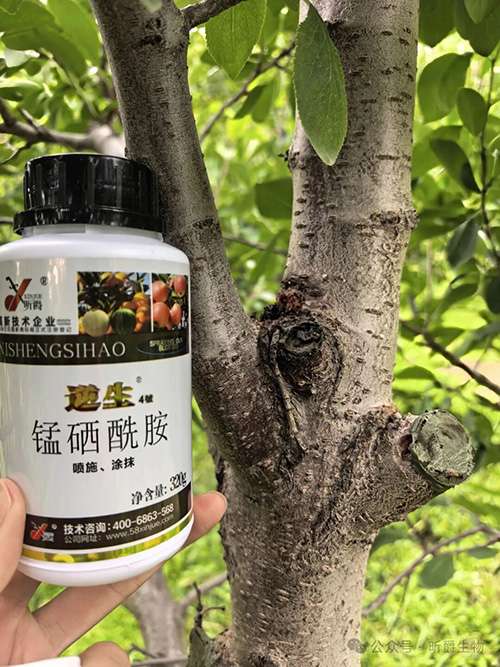 昕爵逆生4号，新型“杀菌剂”到底好在哪？