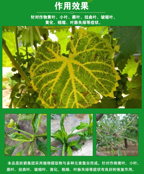 作物病毒病防治用昕爵新缉·毒就对了