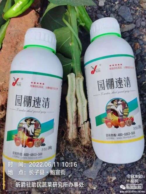 替代石硫合剂，新型清园剂昕爵园棚速清