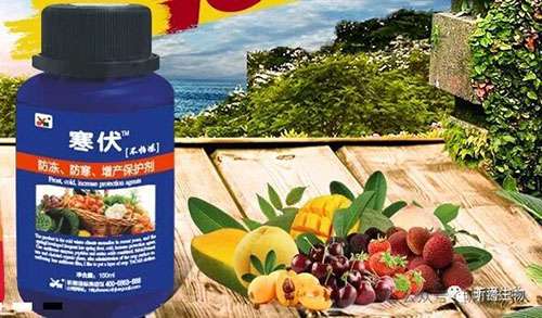 植物防冻害就用昕爵防冻剂寒伏