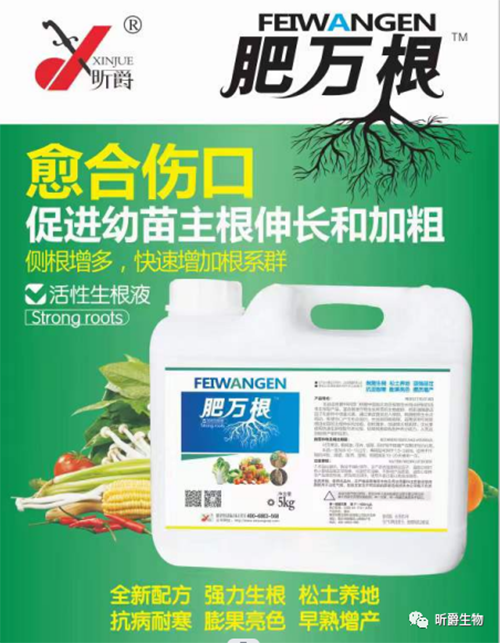 要想作物根系好，昕爵肥万根少不了